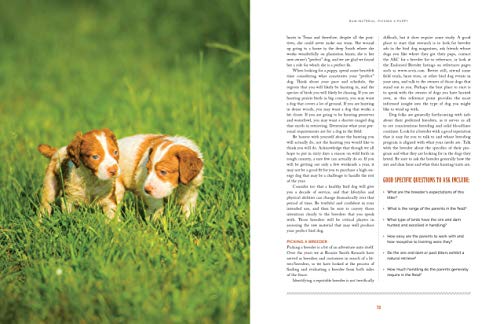Training Bird Dogs with Ronnie Smith Kennels: Proven Techniques and an Upland Tradition