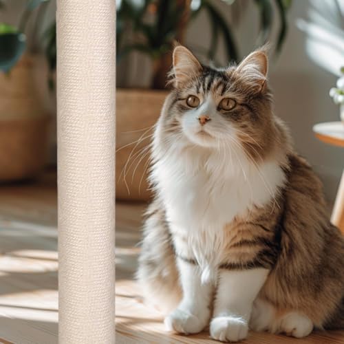 Jouet interactif pour chat avec poteau à griffer en sisal robuste - 4