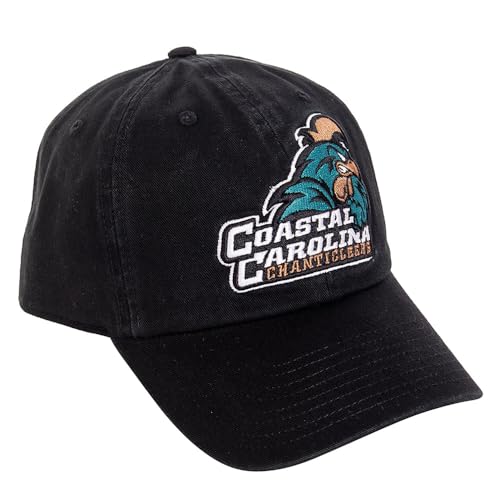 Gorra bordada ajustable estilo Desert Cactus negra miniatura 1