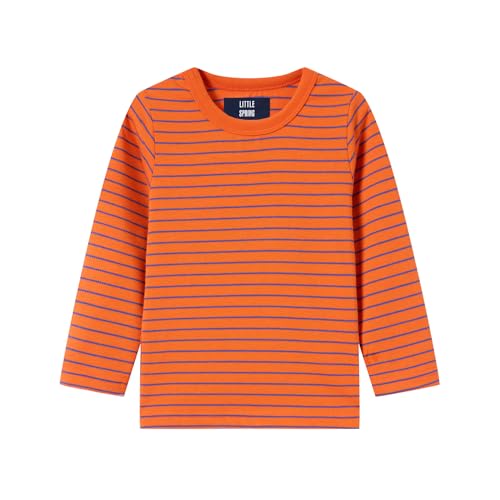 Image of LittleSpring Unisex Kids Long Sleeve Striped Tee Shirt Tagless Crew Neck Cotton T-Shirt