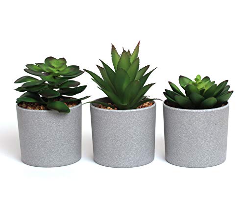 EB Designs Set of 3 Artificial Succulent Plants – Fake Greenery in Grey Pots with Pebbles – Decorative Faux Plants for Home, Office, Indoor & Outdoor Use - Cosy Home Interiors EB Designs Set of 3 Artificial Succulent Plants – Fake Greenery in Grey Pots with Pebbles – Decorative Faux Plants for Home, Office, Indoor & Outdoor Use - Image 2
