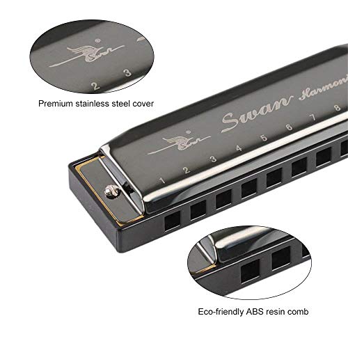SHUIYUE SW1020-7 10 Trous 20 Tons Blues Harmonica diatonique Clé de l’orgue à Bouche C avec étui ABS Harmonica de… - Les Beatles, Paul McCartney, John Lennon, RIngo Starr, George Harrison SHUIYUE SW1020-7 10 Trous 20 Tons Blues Harmonica diatonique Clé de l'orgue à Bouche C avec étui ABS Harmonica de… – Image 7