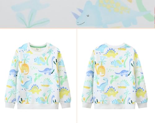 Boys Sweatshirts Casual Sweatshirts Cotton Sweatshirts Long Sleeve T-shirts Crew Neck Cartoon Tops for Boys-1834