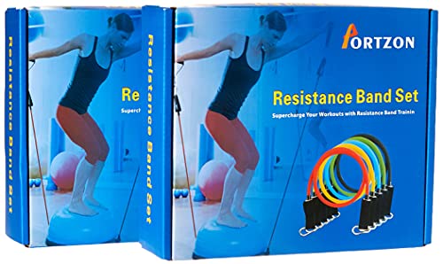 Portzon Resistance Band Set, Workout Bands, Exercise Bands Door Anchor Handle Resistance Training, Convenient, Durable, Exercise Stack-able Up to 100 lbs