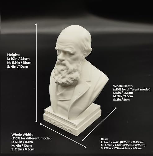 Busto Charles Darwin Estatua Decorativa 6 x 4 x 3 in miniatura 2