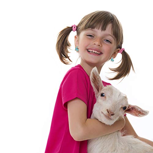 24 Pairs Multiple Hypoallergenic Earrings Set For Little Girls, Made With Stainless Steel, Kids Colorful Cute Unicorn Earrings (Color-2) #TOP3