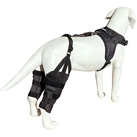 Labra Dog Canine Dual Knee Stifle Brace Wrap, Double Metal Splint Hinged Flexible Support Brace for K9 ACL, CCL, Luxating Patella, Cruciate Ligament Sprains in Back, Rear, Hind Legs - Medium Cover