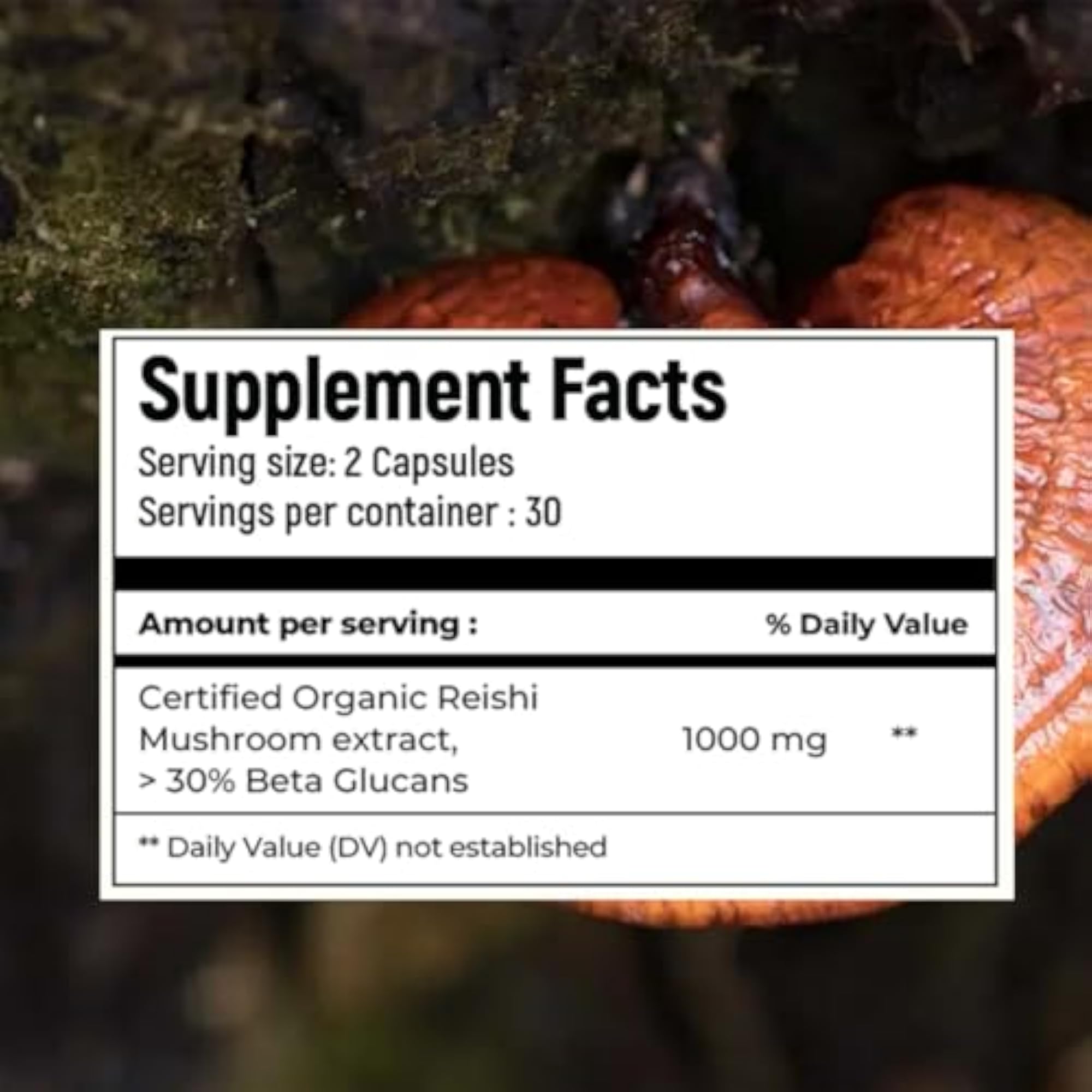 Rooted Actives Reishi Mushroom Extract Powder