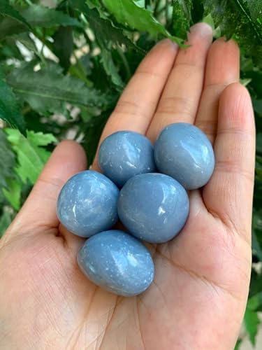 GAF TREASURES 5 Pcs Angelite Tumbled...