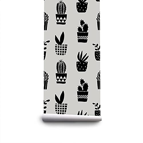 Papier peint meuble chambre salon cuisine Coloray 250x250cm cactus