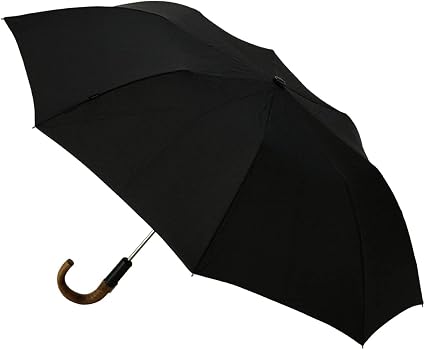 Amazon | [クニルプス] 折りたたみ傘 Topmatic SL メンズ KNS828 雨傘