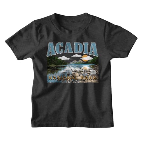 Acadia National Park T Shirt Youth Vintage Smoke Short Sleeve NPCA Nature Maine Vintage Style Graphic Tee
