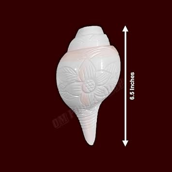Divine Pooja Blowing Shankha for Aarti (Bajane Wala) Shanku - 6.5 inches