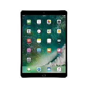 Apple iPad Pro 10.5 256GB Wi-Fi – Gris Espacial (Reacondicionado)