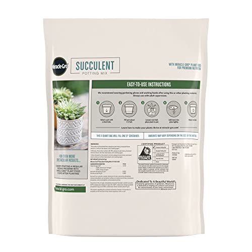 Image of Miracle-Gro Succulent Potting Mix, 4 qt. (2-Pack) | Potting Soil Mix for Indoor Succulents, Aloe Vera and More, Made with Miracle-Gro Plant Food