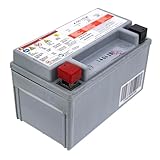 CUB CADET 725P17136 Battery AGM 7AHR CC 30 H Hydro Mini Rider