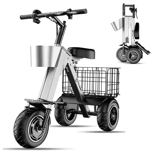 Travel Scooter, 3 Wheel Mobility Scooter for Elderly, Foldable and Compact, 36V 10Ah Battery, Comfortable Seats for Commute and Travel