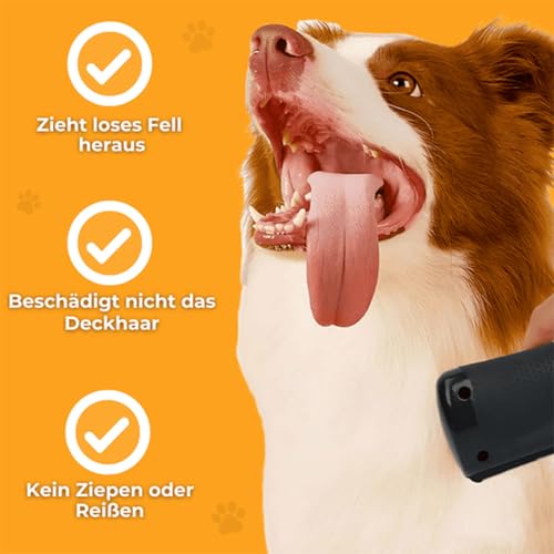 Pfotenmond Fellwunder Bürste - Professionelle Fellpflege für Hunde & Katzen mit Komfortgriff - 2er Set für Effektive Unterwollentfernung