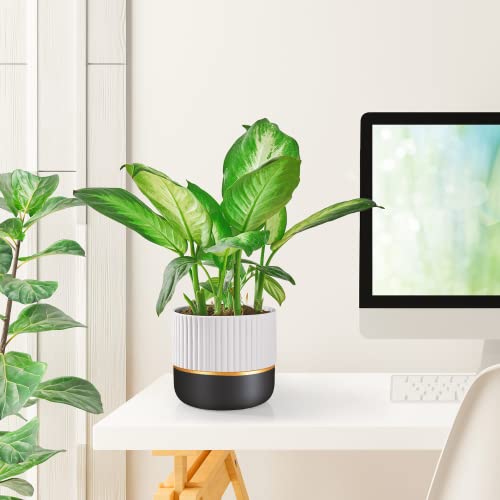 Hlfzptqkj Plant Pot,4.7In & 5.9In Ceramic Plant Pots With Drainage Holes,Indoor Planters For Plants,White Flower Pot With Black And Gold Details For Garden,2 Pack Garden Planters (Not Include Plants) #TOP6