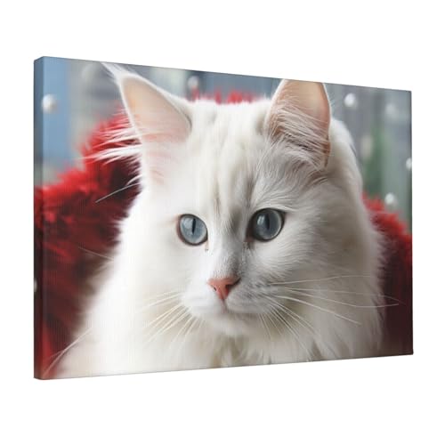 Toile de chat blanc mignon HD pour rompre la monotonie des murs
