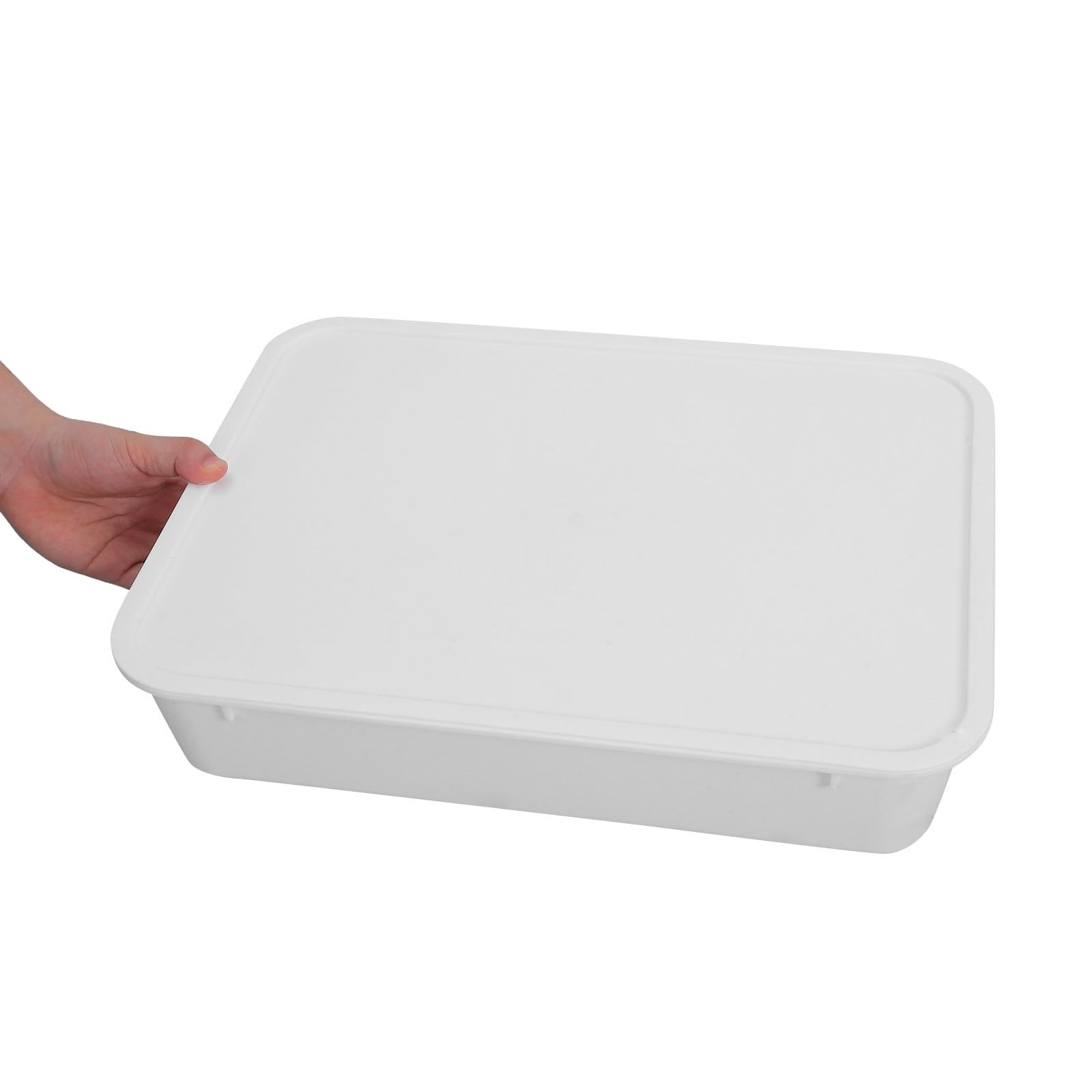 Caja de Fermentación de Pan con Tapa de Color Claro de Plástico