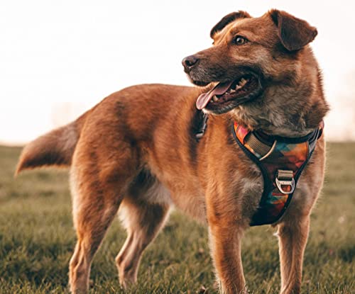 Embark Urban Dog Harness, No Pull Dog Harness with 2 Leash Clips, Dog Harness for Large Dogs No Pull. Front & Back with… - Image 5