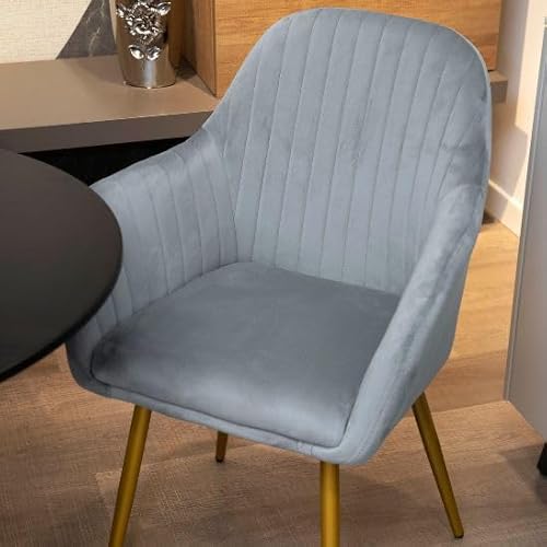 San Marco Poltrona imbottita in velluto celeste