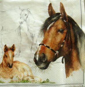 IHR - Lote de servilletas decoradas (20 unidades), diseño de caballo y potro