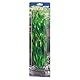 Hobby Vallisneria, 46 cm