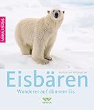 ABIS_BOOK Eisbären: Wanderer auf dünnem Eis