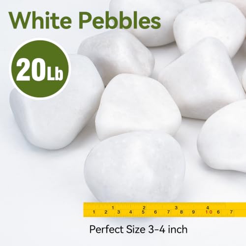 Image of Pulovin 20 lbs White Rocks for Landscaping, 3-4 Inch White River Rocks