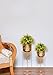 RIZIK STORE Metal Floor Flower Stand for Living Room/Indoor and Outdoor Plant Stand with Planter Pot || Gold ||