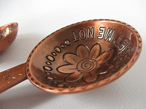 Alaska Forget Me Not Stainless Steel Measuring Spoons (Copper) - Thumbnail 2
