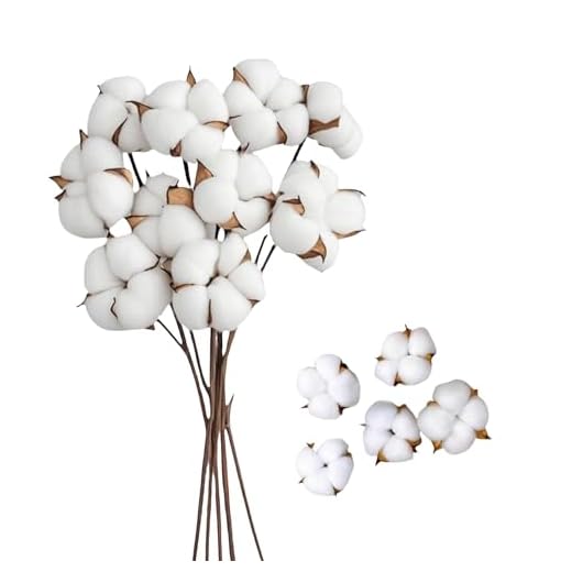 CaiTang 10Pcs Ramo Flores Secas Naturales Flores Algodon Decoracion 42cm Ramo de Algodón, Algodon Natural, con 5 Cabeza de Algodon Decoracion Planta Seca para Decoración de Casa