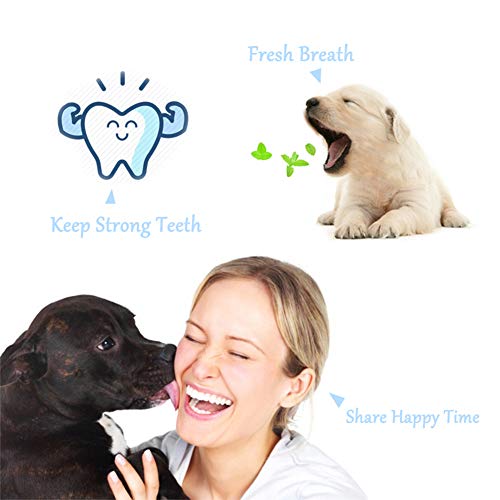 Brosse à dents 3 faces pour chien Orgrimmar à triple tête efficace - 7