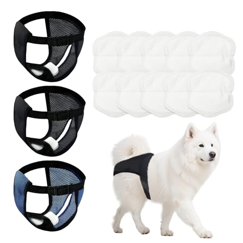 3er Pack Höschen für Hunde Läufigkeit mit 10 Damenbinden, Weich, Atmungsaktiv und Verstellbar Schutzhose Hündin, Wiederverwendbare Periodenhose Hund, Läufigkeitshose, M