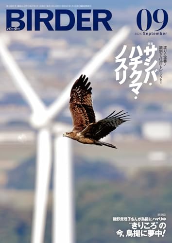 BIRDER（バーダー）2025年9月号　サシバ・ハチクマ・ノスリ