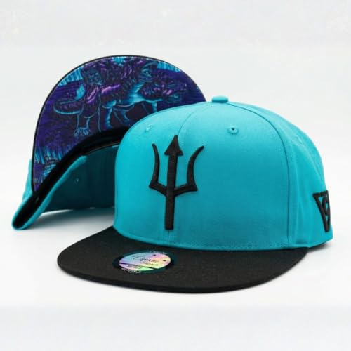Image of Capiche [99+ Variations] Special Series Snapback Cap - One Size Unisex Men