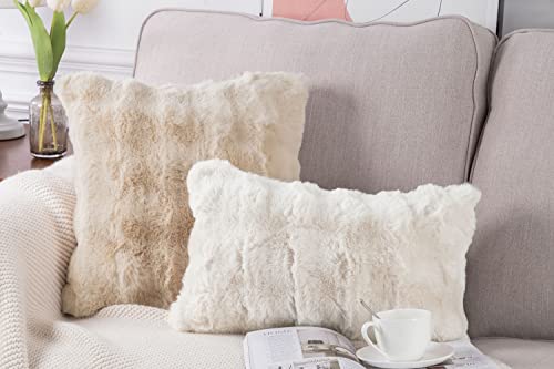 Madizz Pack Of 2 Thick Plush Wool Throw Pillow Covers 22X22 Inch Beige Soft Decorative Cushion Cover For Sofa Bedroom Pillow Shell #TOP4
