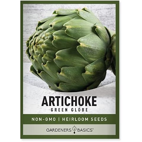 Green Globe Artichoke Seeds - Non-GMO Perennial Vegetable Cover