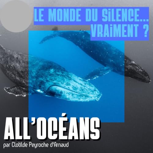 Le monde du silence ... vraiment?