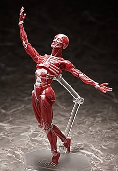 figma 人体模型 thumbnail_510427.jpg