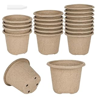 RUCUDIM godets biodégradables 11 cm avec étiquettes