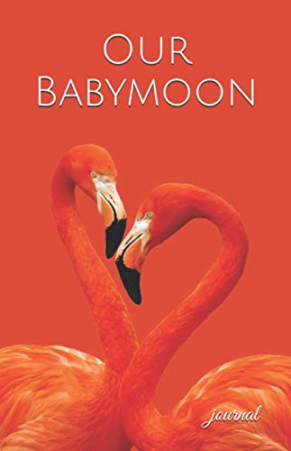 Our Babymoon Lined Writing Journal