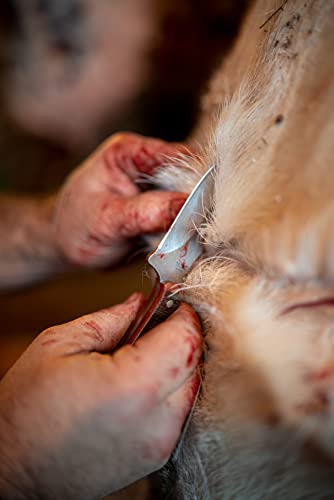 Old Timer 1135991 Generational Usa Series 152Otg Sharpfinger Fixed Blade Knife With Stainless Steel Clip Point Skinner Blade thumb #5