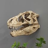 SvRite T-Rex Dinosaur Skull Wall Mount Decor, Museum-Quality Replica Three-Dimensional Wall Decor, Rresin Material