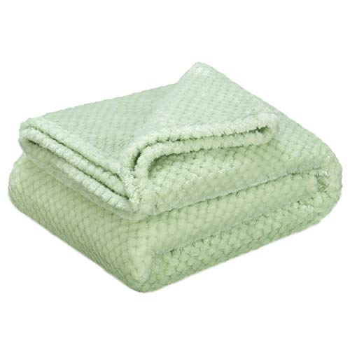 Image of Warm Soft Fuzzy Dog or Cat Blanket, Plush Fleece Throws for Puppy, Kitten, Medium, Large Dogs - Mint (40 inch x 48 inch)