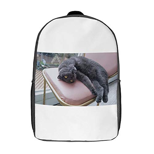 Rucksack Schulrucksack Cat Russian Blue-up Kinder Rucksäcke Kindergarten Vorschule Kleinkind Jungen/Mädchen Schultasche 17inch Cover