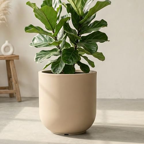 Image of Eha Earth Friendly Roto Bloom Big Planters for Home Decor | 18 inch, Pack of 1 | Plant Pot Made with Rice Husk | UV Protected Pot for Plant | Pots & Planters Big Size | Dune