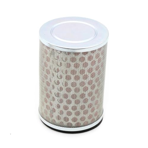 Filtre d'admission d'air pour Honda CB250 1998-2010 et Hornet CB600F
